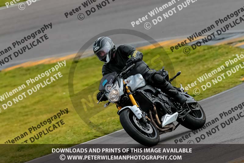 PJ Motorsport 2019;anglesey no limits trackday;anglesey photographs;anglesey trackday photographs;enduro digital images;event digital images;eventdigitalimages;no limits trackdays;peter wileman photography;racing digital images;trac mon;trackday digital images;trackday photos;ty croes